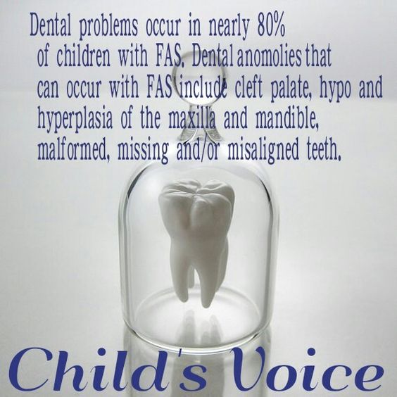 bdd0dbf2a0814e3b4028ec4e9e9d6edb